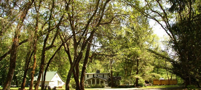 Beautiful Rustic Cabin and Bunkhouse on the Rogue River in Grants Pass