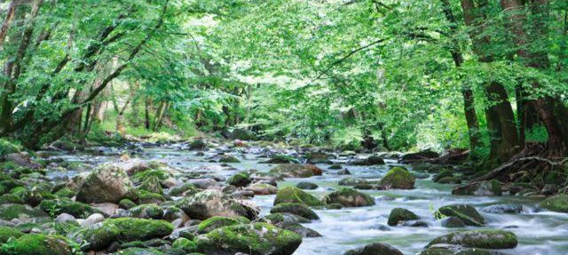 Cork's Creekside in Cosby