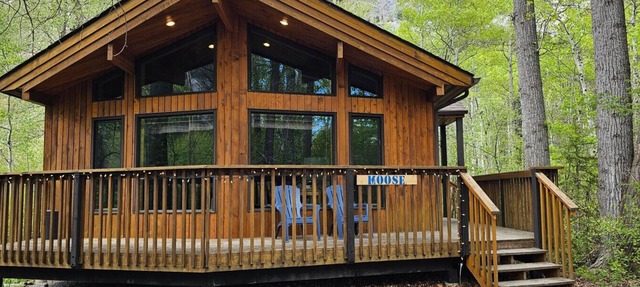 Crowsnest River Chalet - Moose in Crowsnest Pass