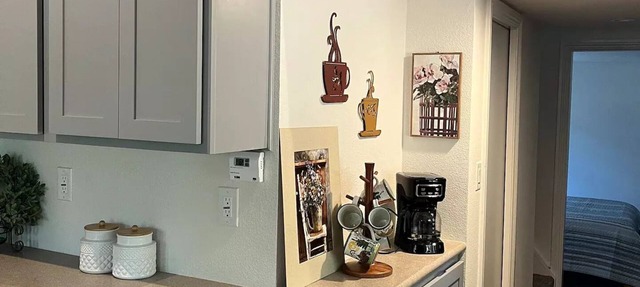 Delightful tiny home surrounded by the woods. in Murphys