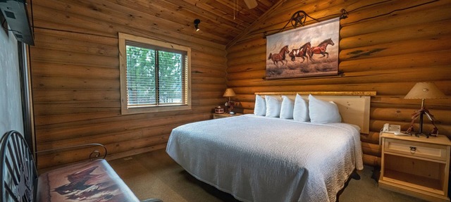 Flying Saddle Resort in Alpine