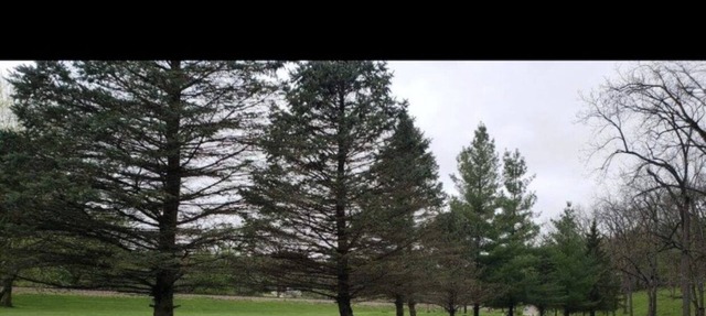 Looking for a nice secluded area away!!! in McGregor
