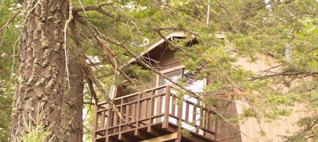 Modified A Frame Cabin.King bed. Only mins. from Ski Cloudcroft and the village. in Cloudcroft