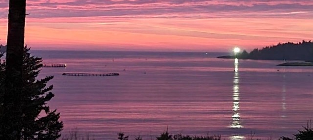 Oceanfront Tiny Home in Beaver Harbour