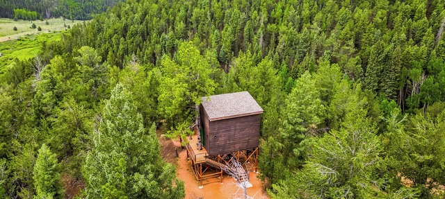Off-Grid Tiny House Treehouse, re-live your childhood fantasy and dream! in Divide