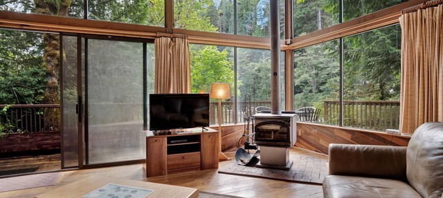 Riverfront cabin with soaring views of mountains & woodstove - dog-friendly in Baring