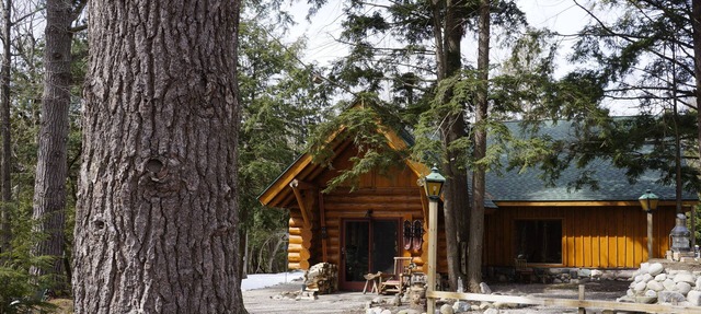 RUSTIC YET REFINED LOG HOME in Maple City