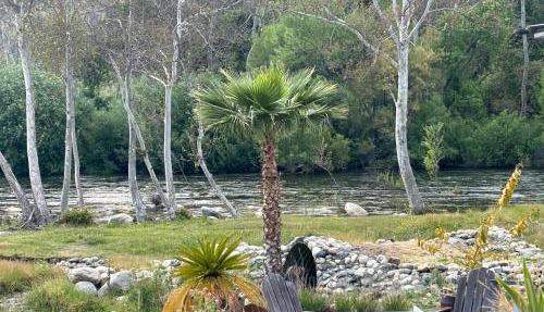 Sequoia River Front Cabins in Three Rivers