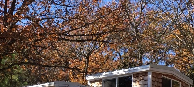TINY HOUSE experience on the Cedar Creek Lake with lake view. 26mi to Canton! in Malakoff