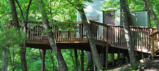 Treehouse with deck in LENEXA
