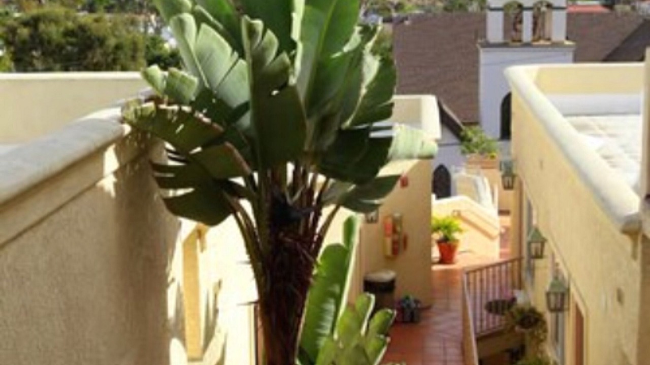 Photo of Outdoor in Avalon