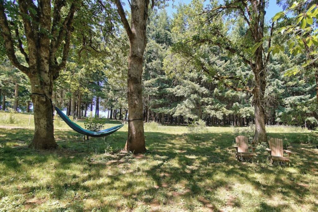 Photo of Outdoor in Carlton