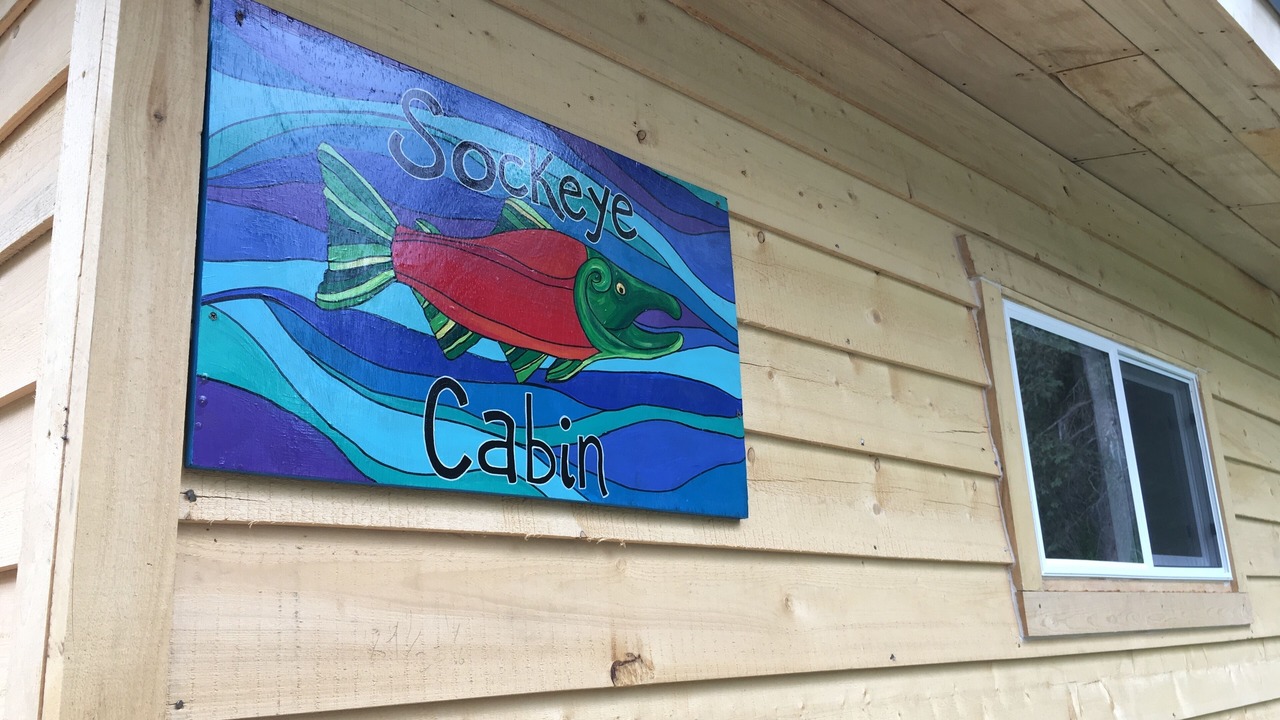 Photo of Outdoor in Susitna North