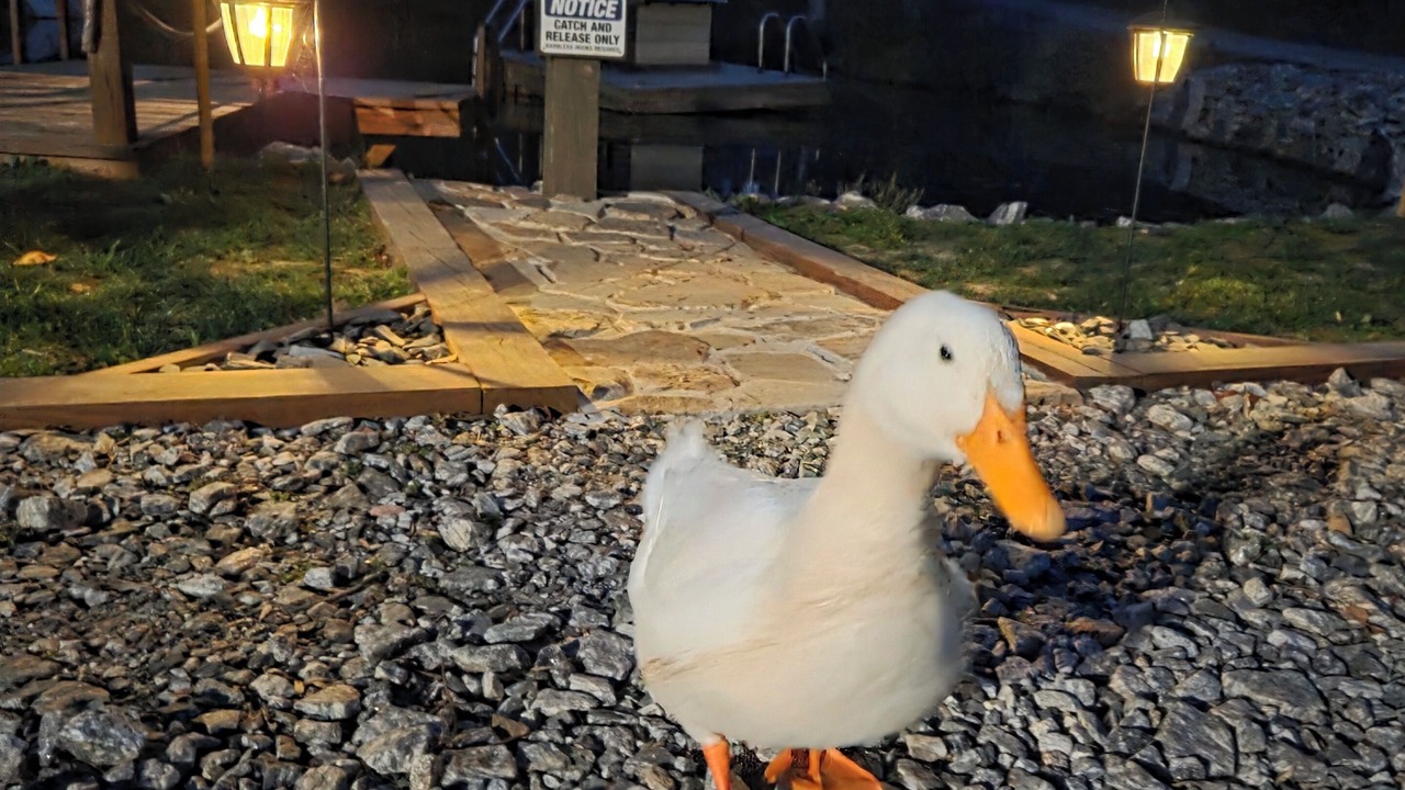 Photo of Outdoor in Flat Rock