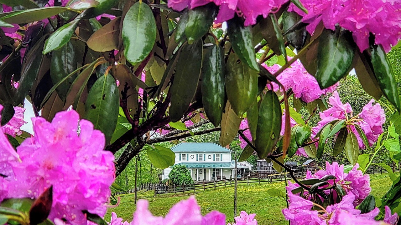 Photo of Outdoor in Galax