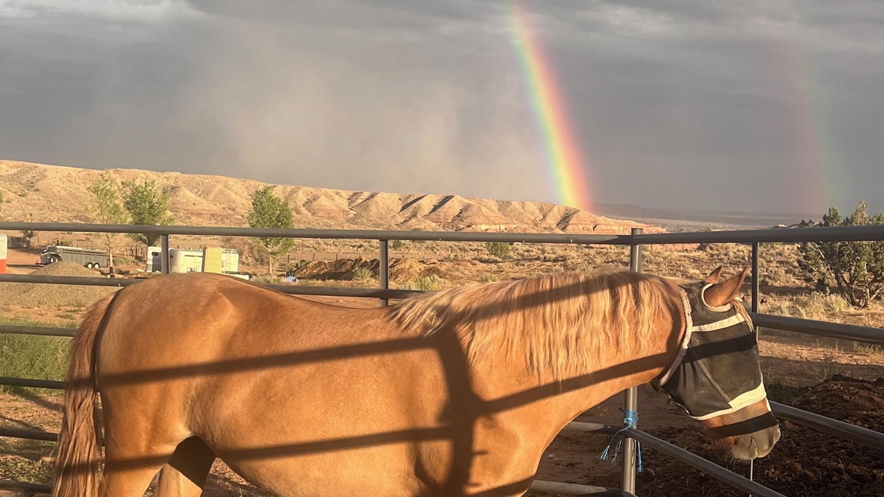 Photo of Others in Kanab