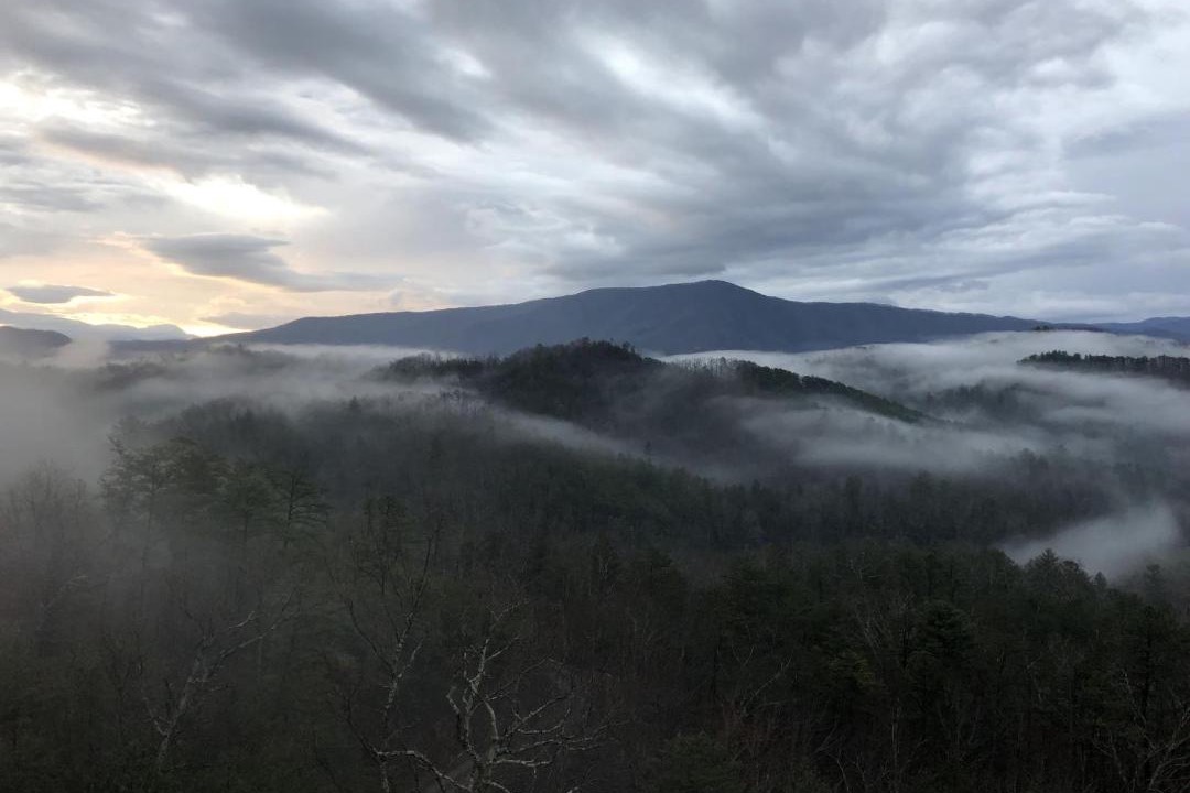 Photo of Others in Sevierville
