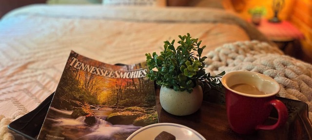 Peaceful, extremely clean Treehouse cottage 10 min. from National Park entrance in Townsend